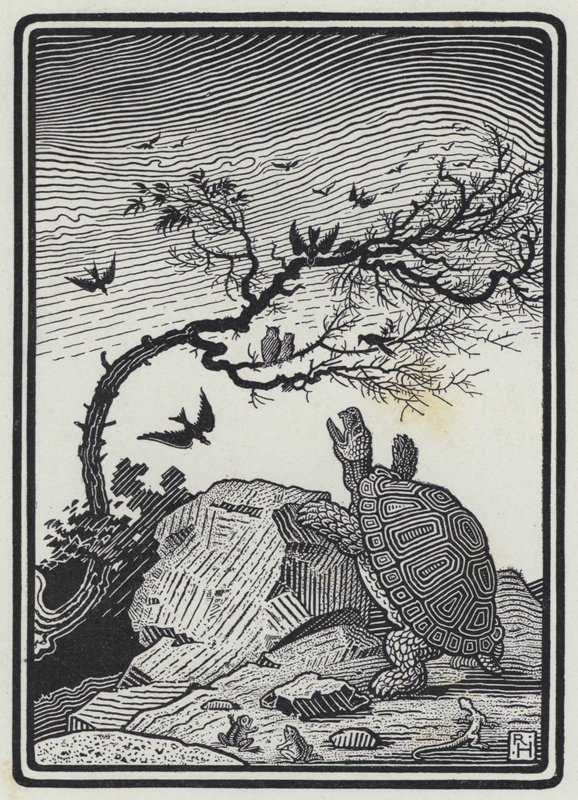 Die Schildkröte und die Vögel (Stich) von Richard Heighway