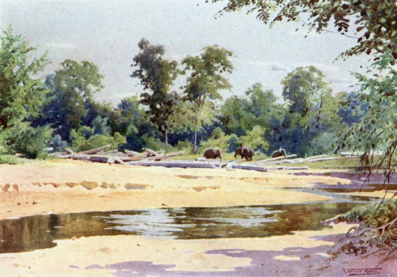 Elefanten räumen einen Holzstapel in Kokogon von Robert George Talbot Kelly