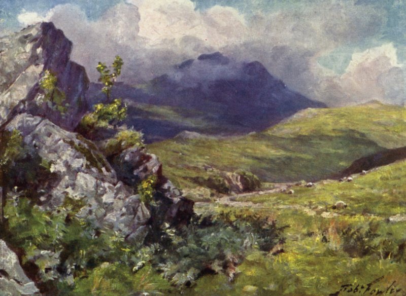 Ansicht von Moelwyn (Farblithografie) von Robert (after) Fowler