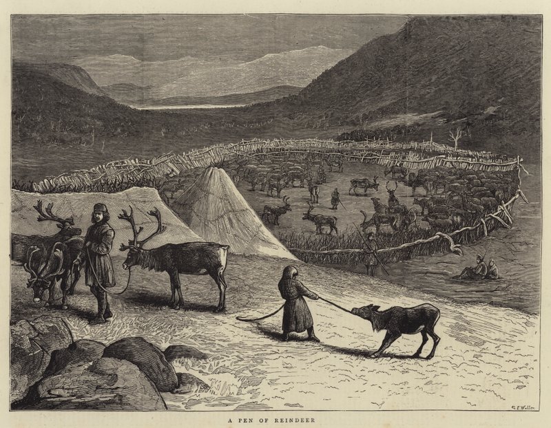 Ein Gehege von Rentieren von Samuel Edmund Waller