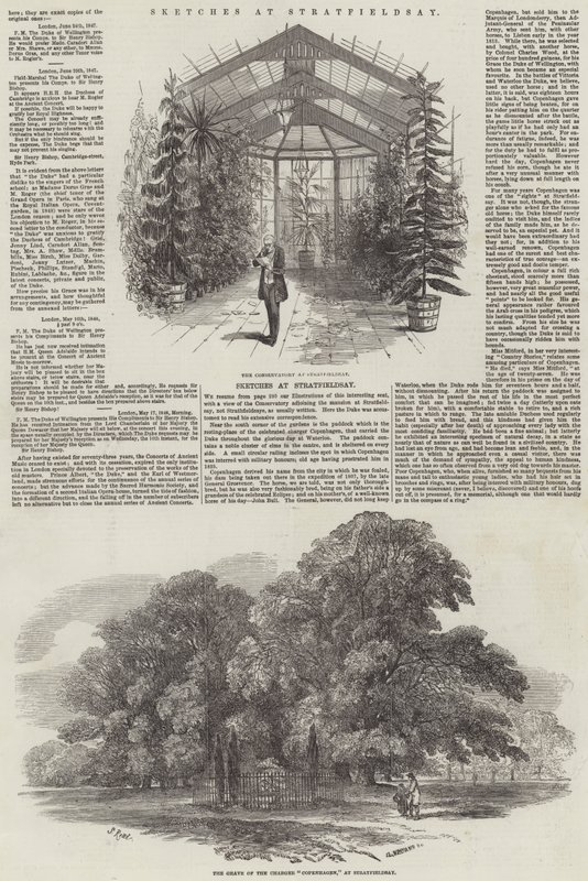 Skizzen in Stratfieldsay von Samuel Read