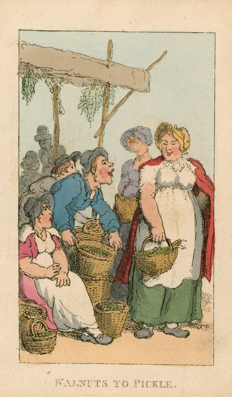 Walnüsse zum Einlegen von Thomas Rowlandson