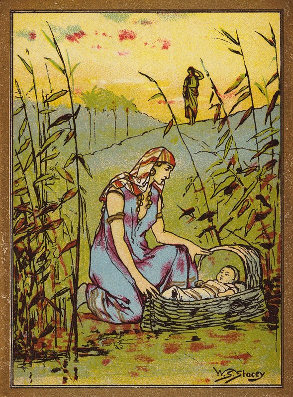 Die Auffindung des Moses von W.S. Stacey
