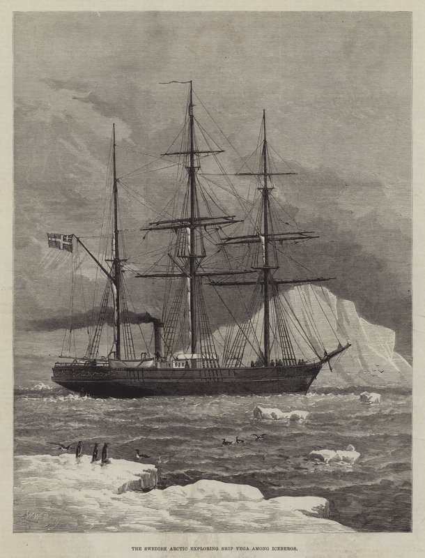 Das schwedische arktische Forschungsschiff Vega unter Eisbergen von Walter William May
