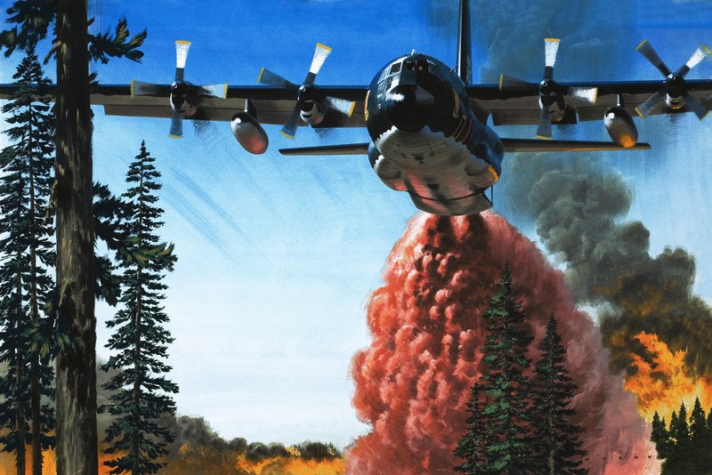 Bombardierung eines Waldbrandes von Wilf (20th century) Hardy