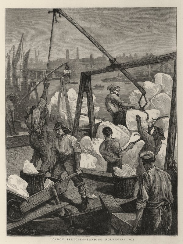 Londoner Skizzen, Landung norwegischen Eises von William Bazett Murray