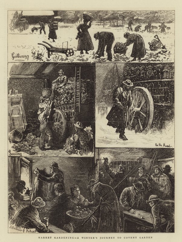 Marktgärtnerei, eine Winterreise zum Covent Garden von William Bazett Murray