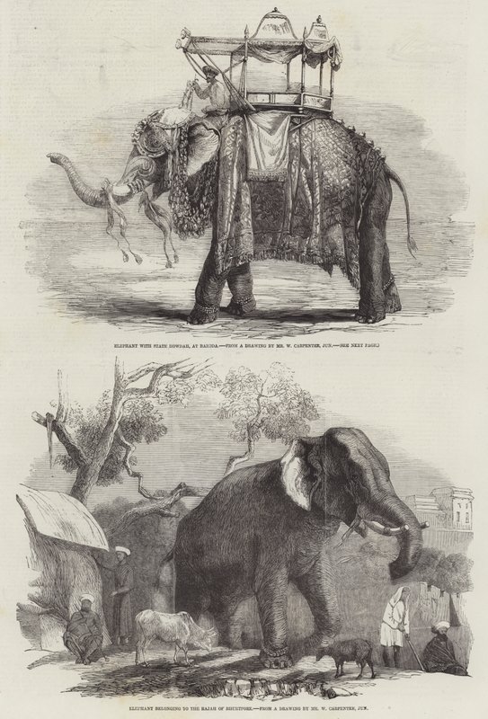 Indische Elefanten von William Carpenter