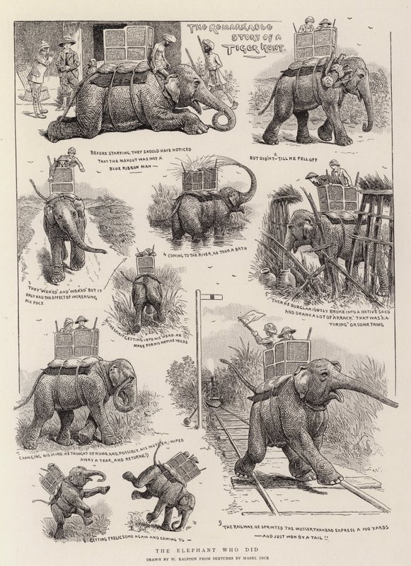 Der Elefant, der es tat von William Ralston