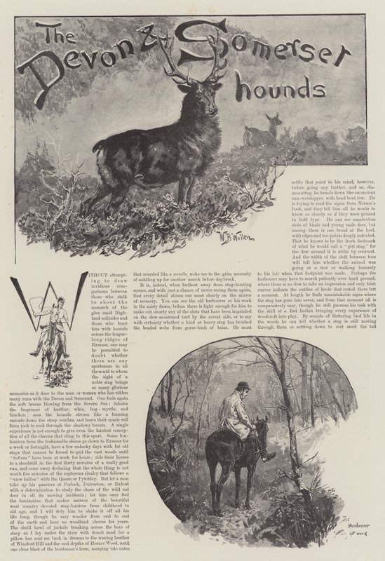 Die Devon und Somerset Jagdhunde von William Barnes Wollen