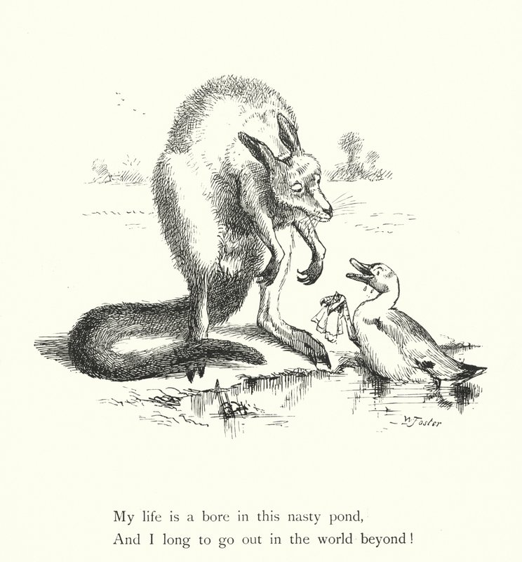 Die Ente und das Känguru (Gravur) von William Foster