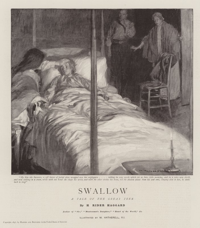 Schwalbe, Eine Geschichte des Großen Trecks von William Hatherell