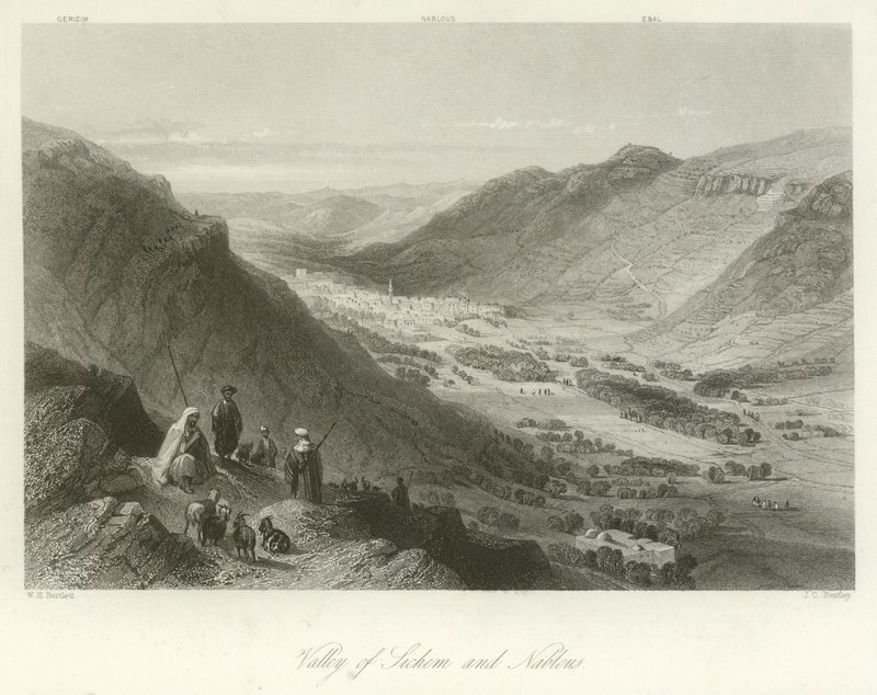 Tal von Sichem und Nablus, Palästina von William Henry Bartlett