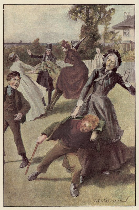 Meine Tante stürzte sich auf ihn von William Henry Charles Groome