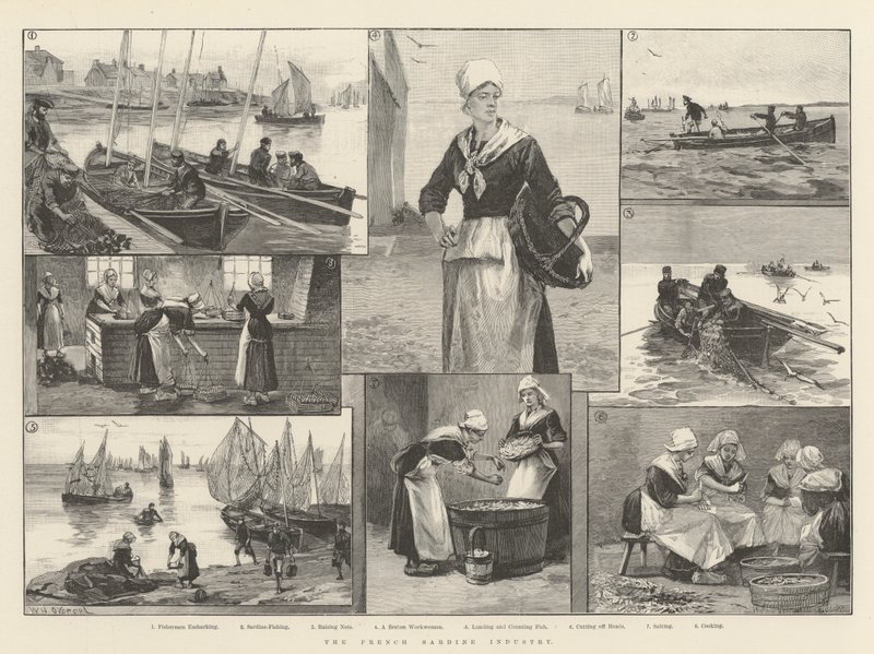 Die französische Sardinenindustrie von William Heysham Overend