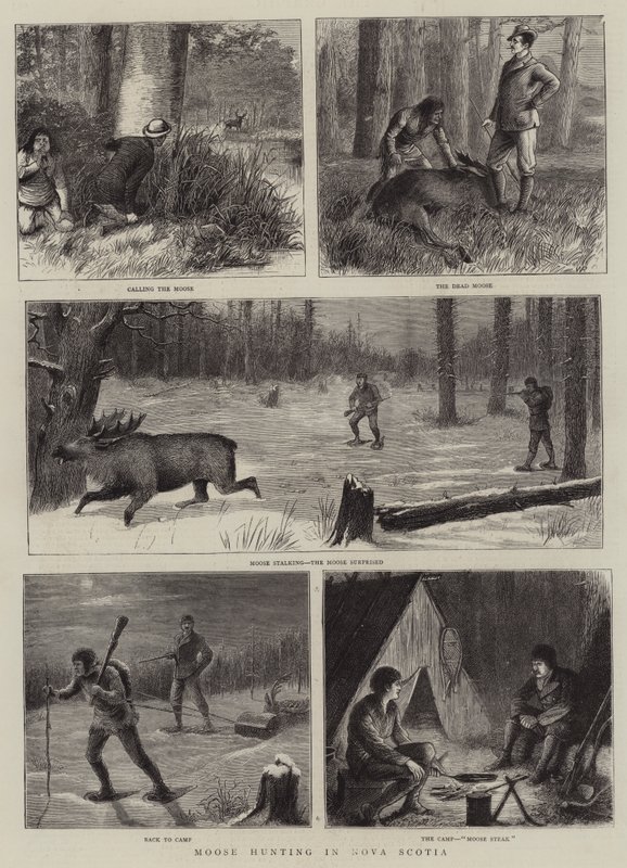 Elchjagd in Nova Scotia von William Ralston
